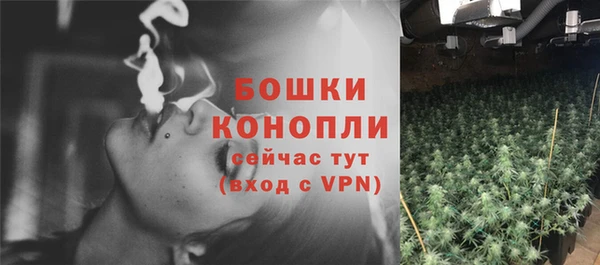 стафф Кинешма