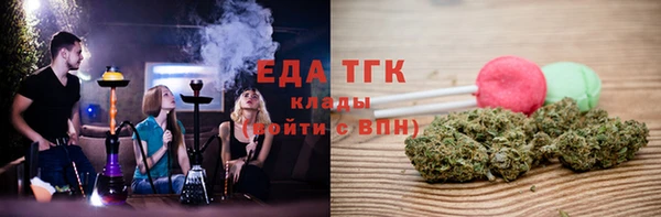мдпв Каменка