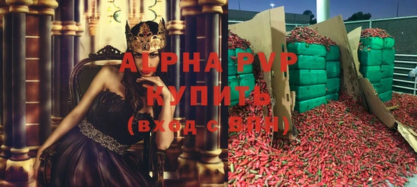 стафф Кинешма