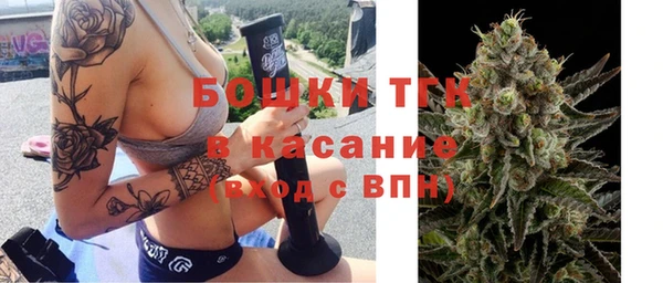 apvp Карпинск