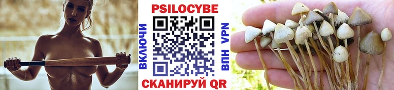 MEGA ссылки  Киренск  Псилоцибиновые грибы прущие грибы 